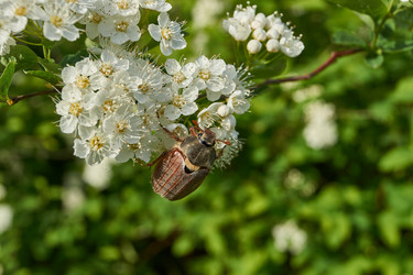 Similar image 21858562