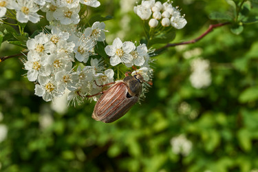 Similar image 21858563