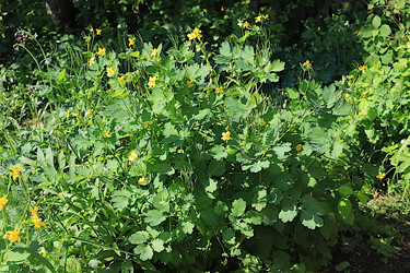 Similar image 21865582