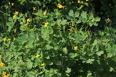 Similar image 21865583