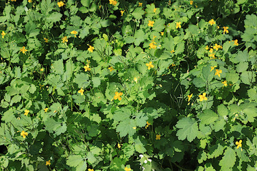 Similar image 21865584