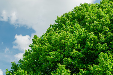 Similar image 21866604