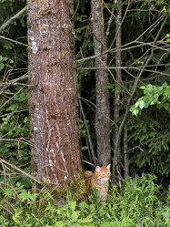 Similar image 21858568