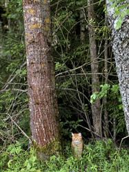 Similar image 21858569