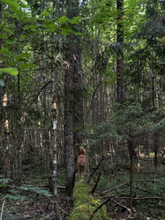 Similar image 21858570