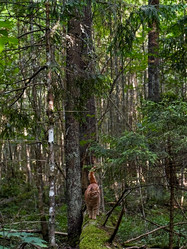 Similar image 21858571