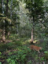 Similar image 21858572