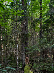 Similar image 21858573