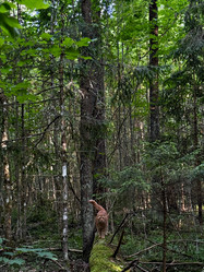 Similar image 21858574