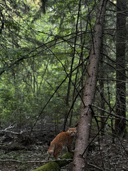 Similar image 21858575