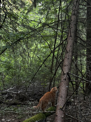 Similar image 21858576