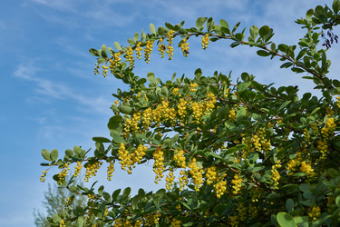 Similar image 21858580