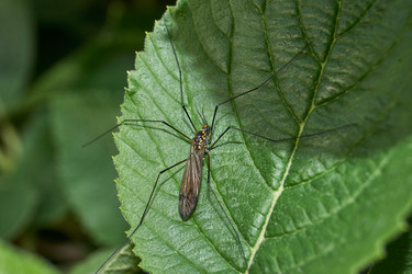 Similar image 21858586