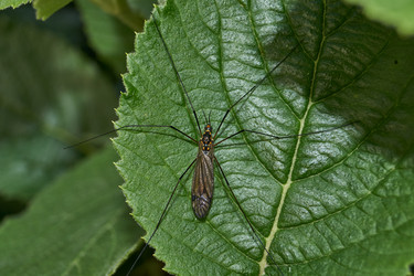 Similar image 21858587