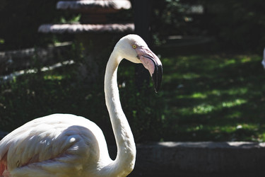 Similar image 21858282