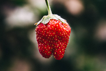 Similar image 21858283