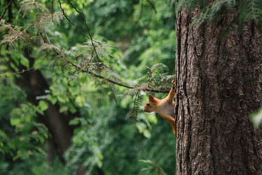 Similar image 21867406