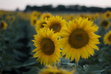 Similar image 21865657