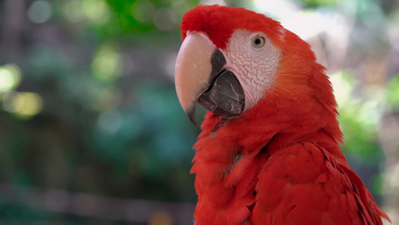 Similar image 21858286