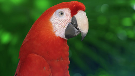 Similar image 21858287