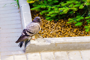 Similar image 21872382