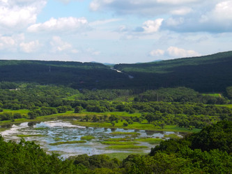 Similar image 21872318