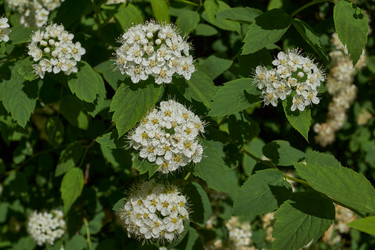 Similar image 21865660