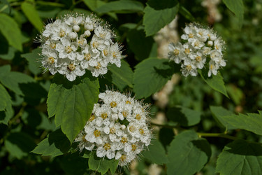 Similar image 21865661