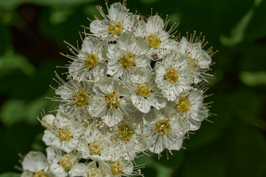 Similar image 21865662