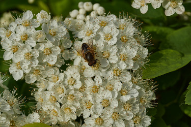 Similar image 21865664