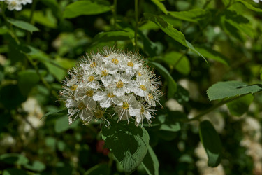 Similar image 21865665