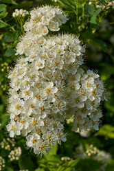 Similar image 21865666