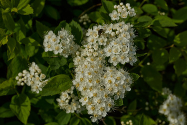 Similar image 21865667