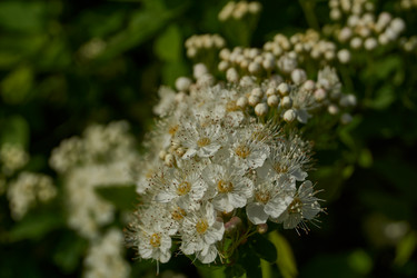 Similar image 21865669