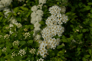 Similar image 21865671