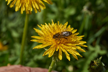 Similar image 21865675