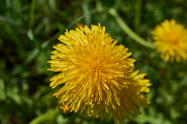 Similar image 21865676