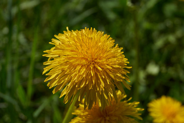 Similar image 21865677