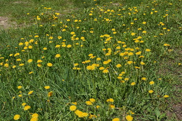 Similar image 21865678