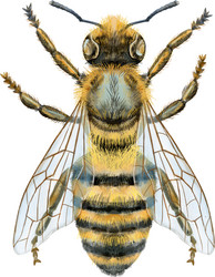 Similar image 21867103