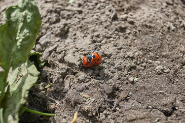 Similar image 21865684