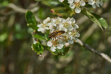 Similar image 21865685