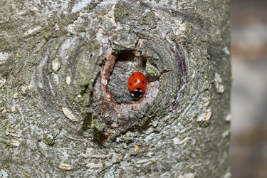 Similar image 21865687