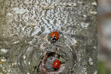 Similar image 21865688