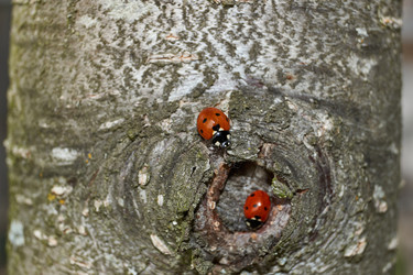 Similar image 21865689