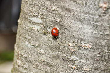 Similar image 21865690