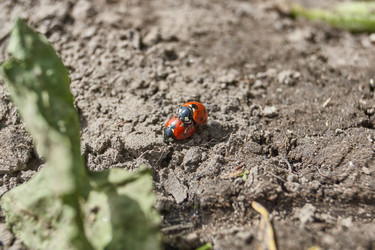 Similar image 21865691