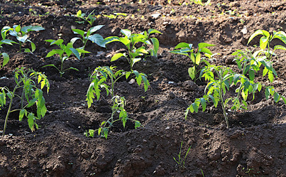 Similar image 21866258