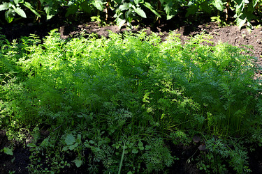 Similar image 21866259