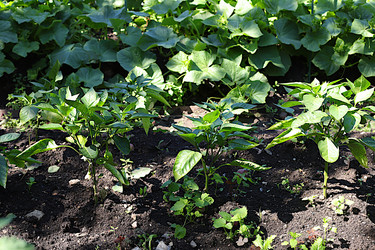 Similar image 21866261